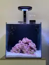 [TodoMarino.com] Teno Reef 80l