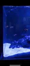 [TodoMarino.com] Teno Reef 80l