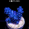 [TodoMarino.com] Compro Acroporas azules