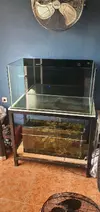 [TodoMarino.com] Vendo acuario marino 92x50x50