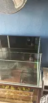 [TodoMarino.com] Vendo acuario marino 92x50x50