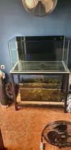 [TodoMarino.com] Vendo acuario marino 92x50x50