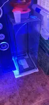 [TodoMarino.com] Vendo acuario marino 92x50x50