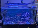 [TodoMarino.com] Vendo acuario en madrid