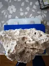 [TodoMarino.com] Vendo roca natural arrecife