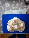 [TodoMarino.com] Vendo roca natural arrecife