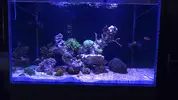 [TodoMarino.com] Ampliación de 90l a Nyos Opus g2 300