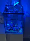 [TodoMarino.com] Acuario completo 30 litros para principiantes