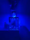 [TodoMarino.com] Acuario completo 30 litros para principiantes