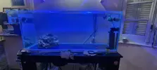 [TodoMarino.com] Problemas con el acuario