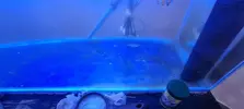 [TodoMarino.com] Problemas con el acuario