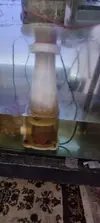 [TodoMarino.com] Problemas con el acuario