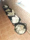 [TodoMarino.com] Meter roca en cloro