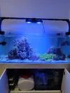 [TodoMarino.com] Desmonto acuario zona BILBAO