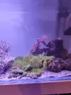 [TodoMarino.com] Desmonto acuario zona BILBAO