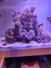 [TodoMarino.com] Desmonto acuario zona BILBAO
