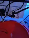 [TodoMarino.com] Desmonto acuario zona BILBAO
