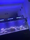 [TodoMarino.com] Agua blanquecina