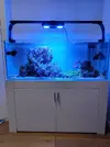 [TodoMarino.com] Desmonto acuario zona BILBAO