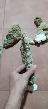 [TodoMarino.com] Platos roca fiji natural
