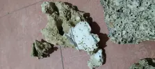 [TodoMarino.com] Platos roca fiji natural