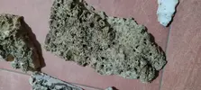 [TodoMarino.com] Platos roca fiji natural