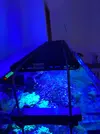 [TodoMarino.com] En venta Pantalla evergrow 5080