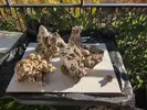 [TodoMarino.com] Roca Viva Madrid