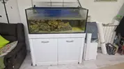 [TodoMarino.com] Desmonte,Acuario, mesa, sump y roca viva.