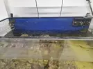 [TodoMarino.com] Desmonte,Acuario, mesa, sump y roca viva.
