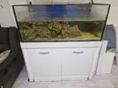 [TodoMarino.com] Desmonte,Acuario, mesa, sump y roca viva.