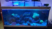 [TodoMarino.com] Pantalla para acuario de 450l 150x50x70