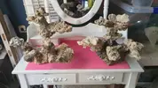 [TodoMarino.com] Roca Aquascaping