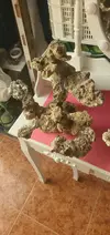 [TodoMarino.com] Roca Aquascaping