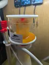 [TodoMarino.com] Problemas ciclado agua amarilla