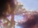 [TodoMarino.com] ataque por fondo y superficie (sugerencias identificación)