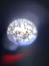 [TodoMarino.com] ataque por fondo y superficie (sugerencias identificación)