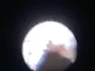 [TodoMarino.com] ataque por fondo y superficie (sugerencias identificación)
