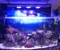 [TodoMarino.com] Vendo Acuario 200 litros y 400 litros