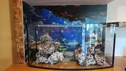[TodoMarino.com] Vendo Acuario 200 litros y 400 litros