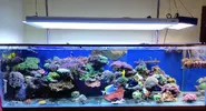 [TodoMarino.com] Conger experience