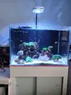 [TodoMarino.com] Acuario Marino Sin Sump y Skimmer