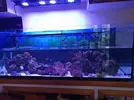 [TodoMarino.com] Urna de 400 l