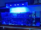 [TodoMarino.com] Urna de 400 l
