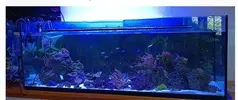 [TodoMarino.com] Urna de 400 l