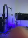 [TodoMarino.com] mangle rojo con raíces, hojas y soporte para la urna. 3 unidades. Valdemoro