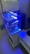 [TodoMarino.com] Acuario waterbox cube 10