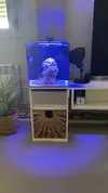 [TodoMarino.com] Acuario waterbox cube 10