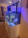 [TodoMarino.com] Acuario marino 130×60×60