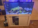 [TodoMarino.com] Acuario marino 130×60×60